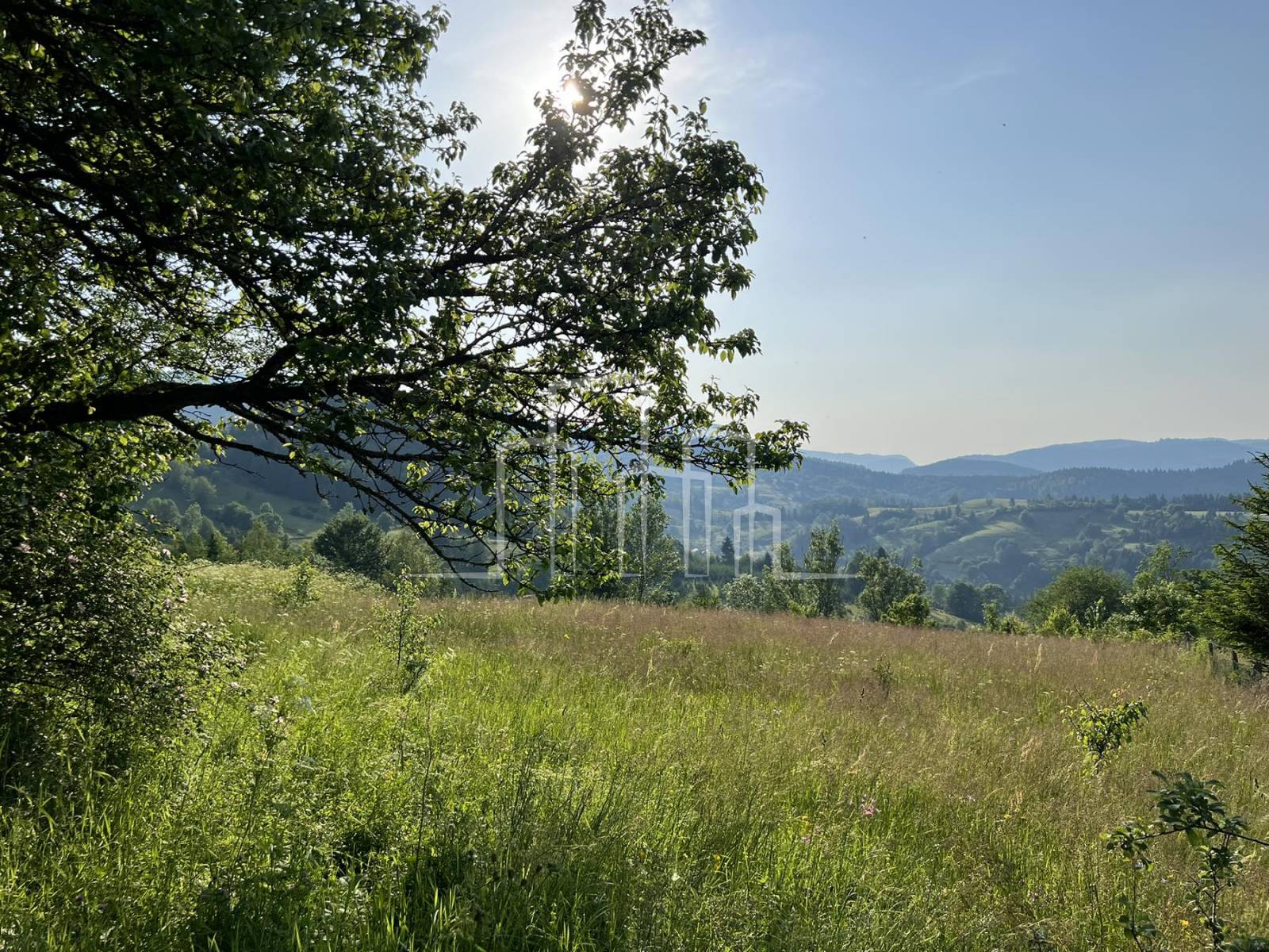 Zemljište Ravna Planina Vrelo Miljacke Pale