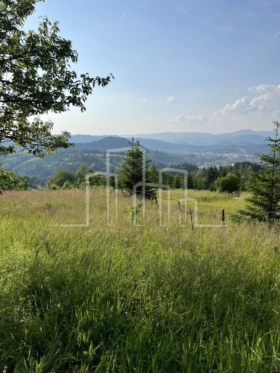 Zemljište Ravna Planina Vrelo Miljacke Pale