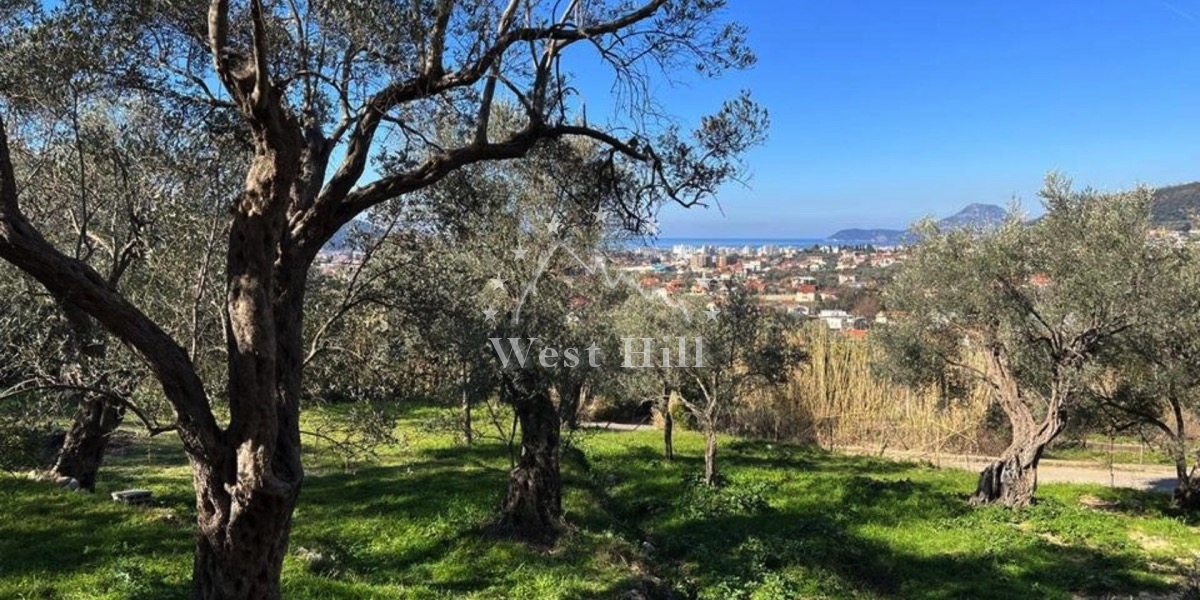 Parcele u masliniku sa pogledom na more i stari Bar