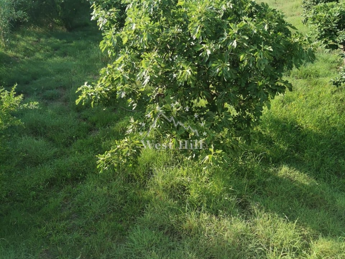 Porodična kuća, naselje Polje